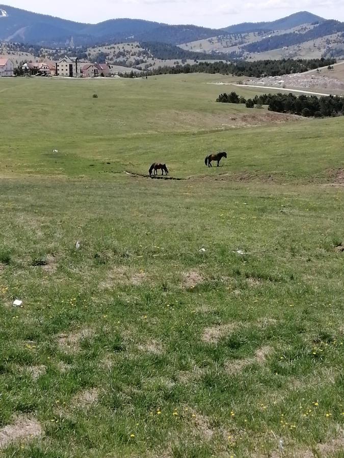 Apartman Selakovic Zlatibor Esterno foto