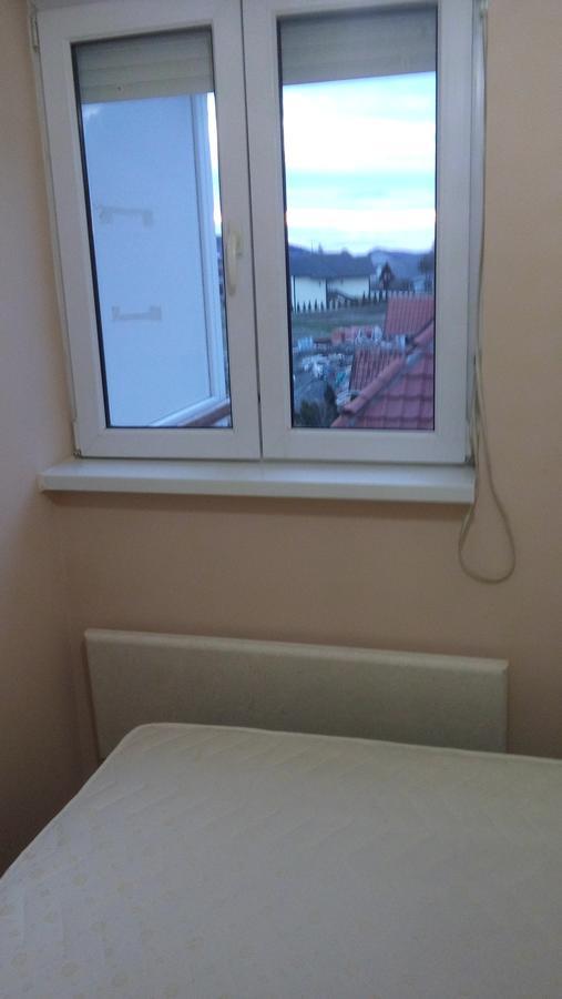 Apartman Selakovic Zlatibor Esterno foto