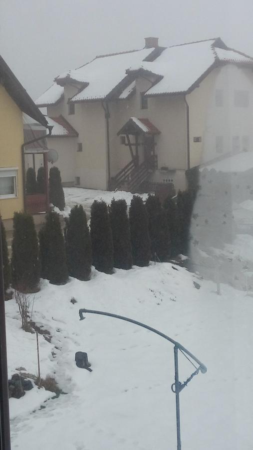 Apartman Selakovic Zlatibor Esterno foto