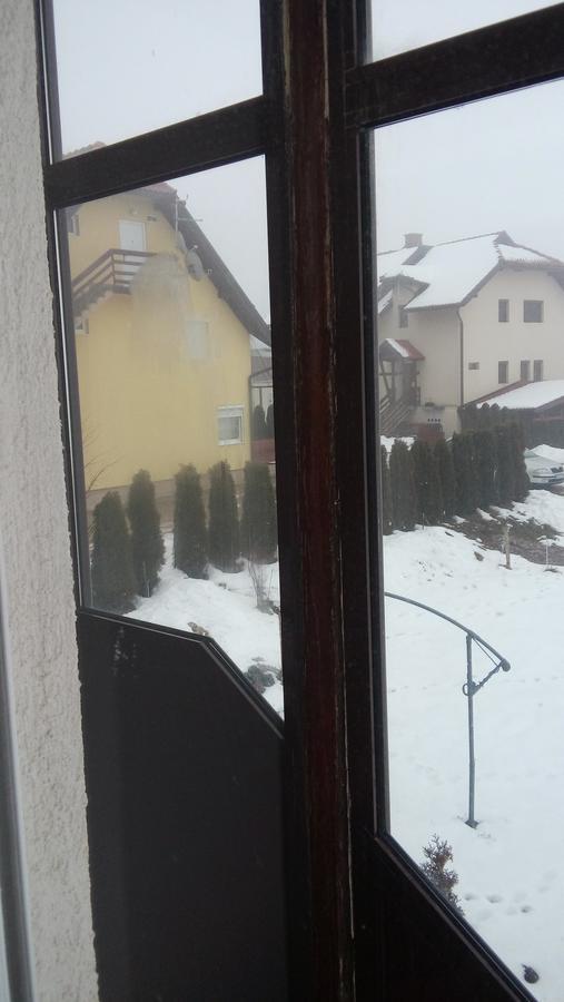 Apartman Selakovic Zlatibor Esterno foto